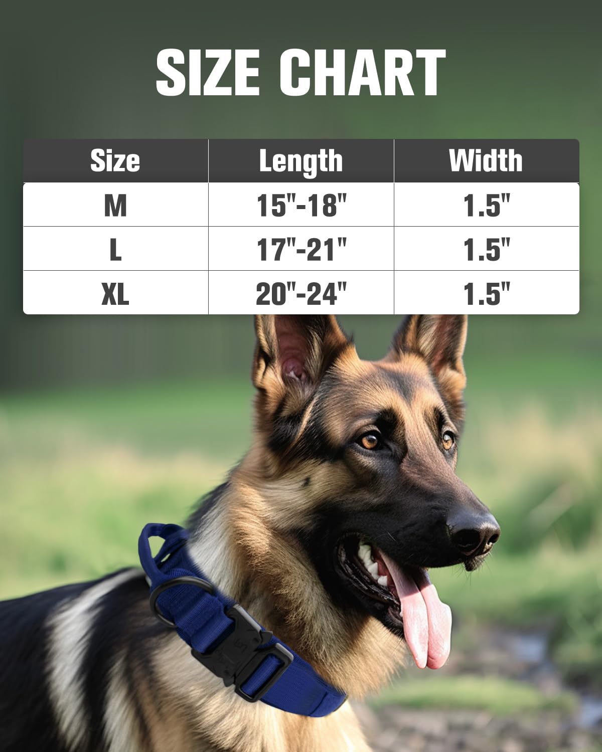 Joytale dog-walking with handle enables confident control during hikes