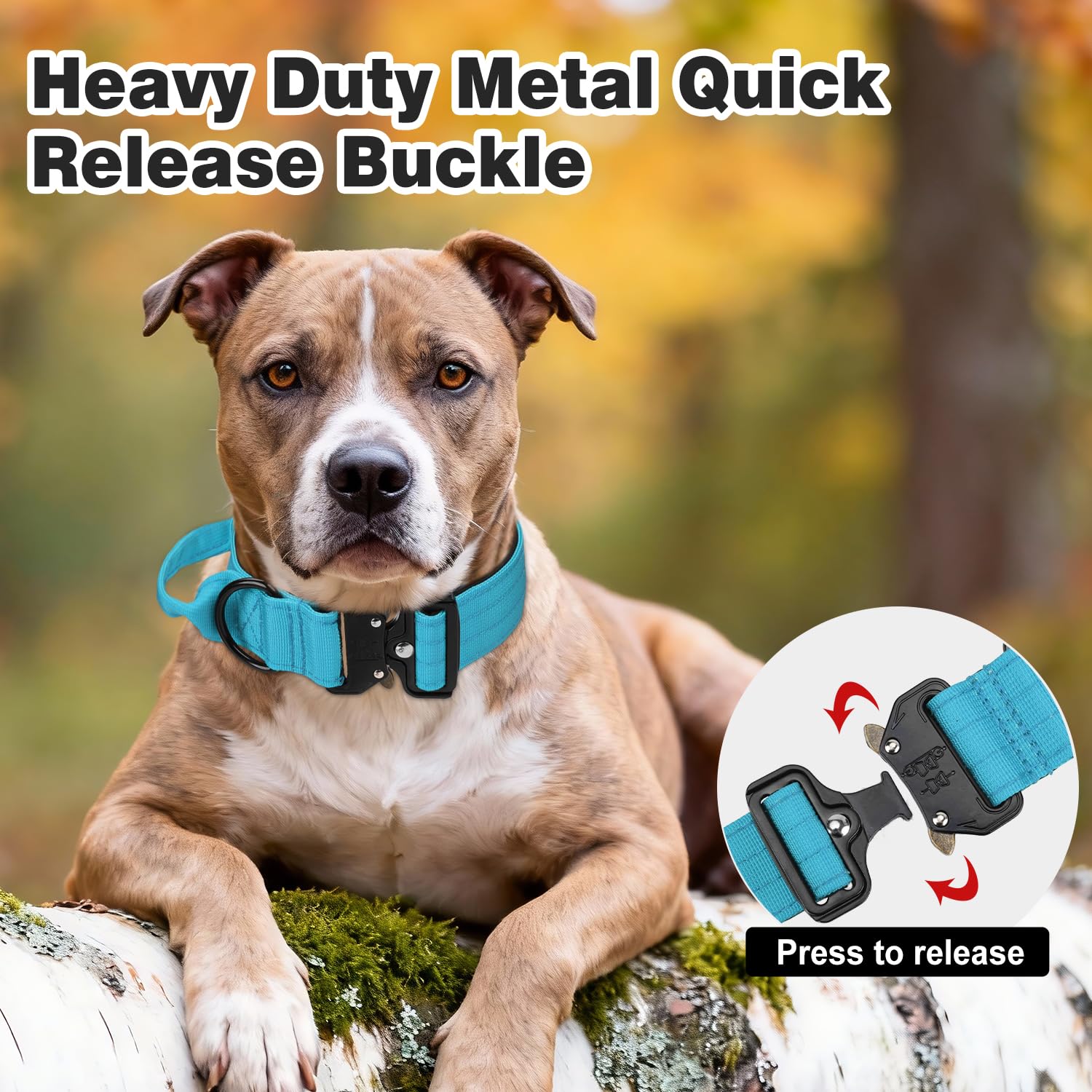 Joytale dual-layer military nylon collar highlighting durable material for strong pulls