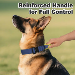 Joytale dual-layer nylon system demonstrates durability for long-term training and obedience sessions.