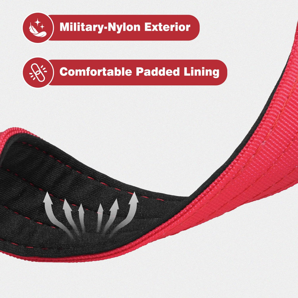 Joytale dual-ring design secures leash during training sessions