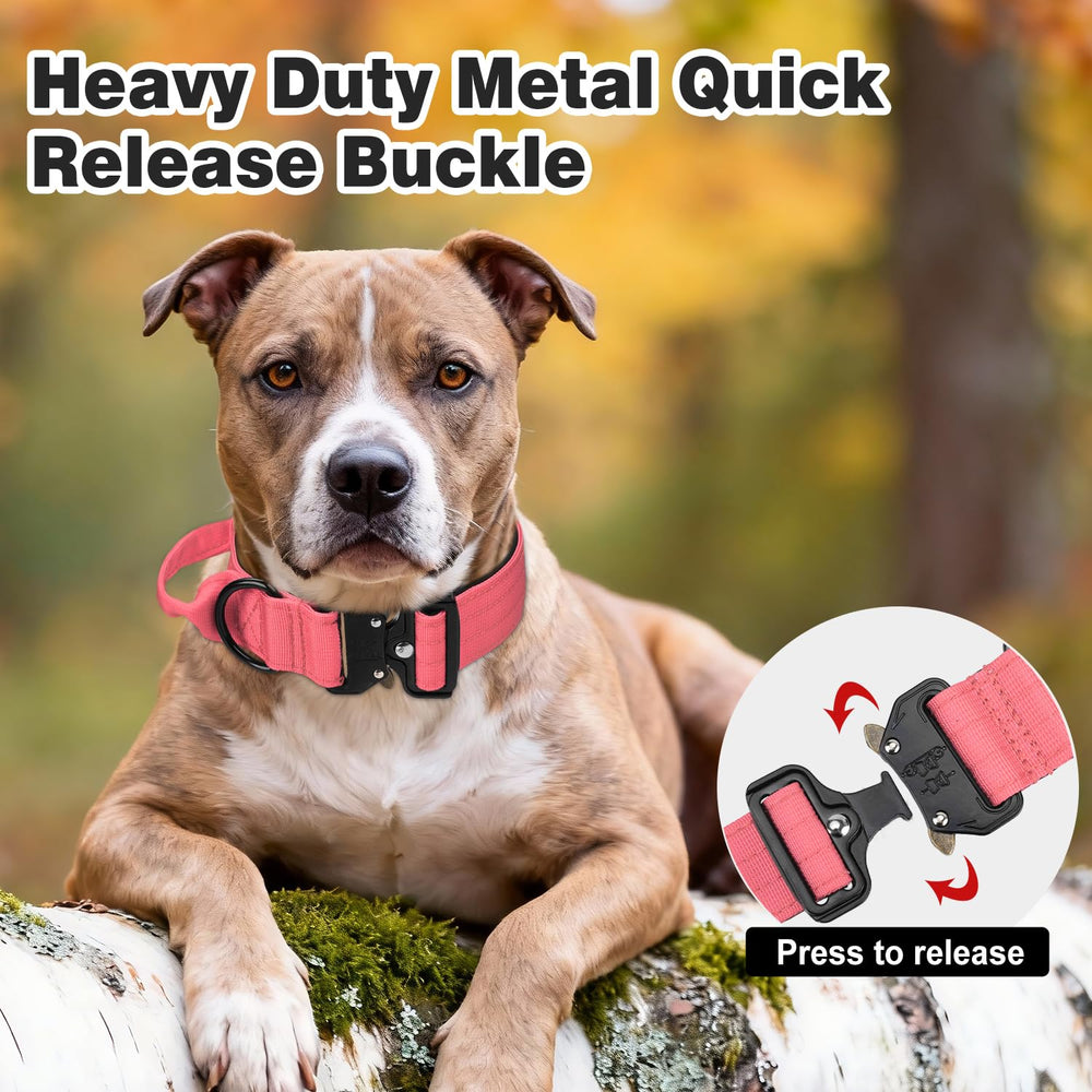 Joytale dual-ring nylon collar pink showcasing sturdy leash attachment point