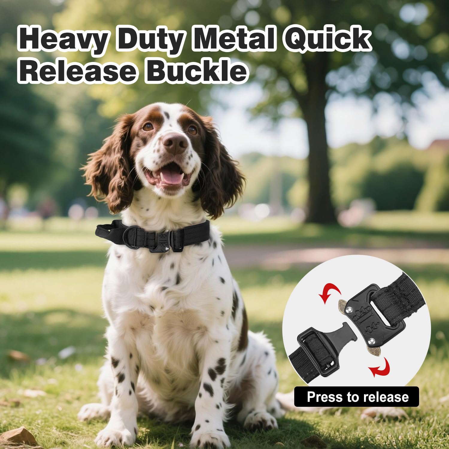 Joytale dual-ring dog collar supports reliable leash setups during training.