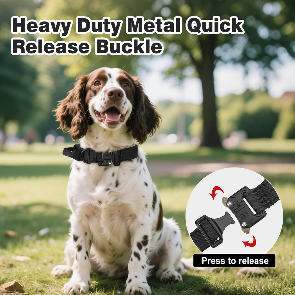 Joytale dual-ring dog collar supports reliable leash setups during training.