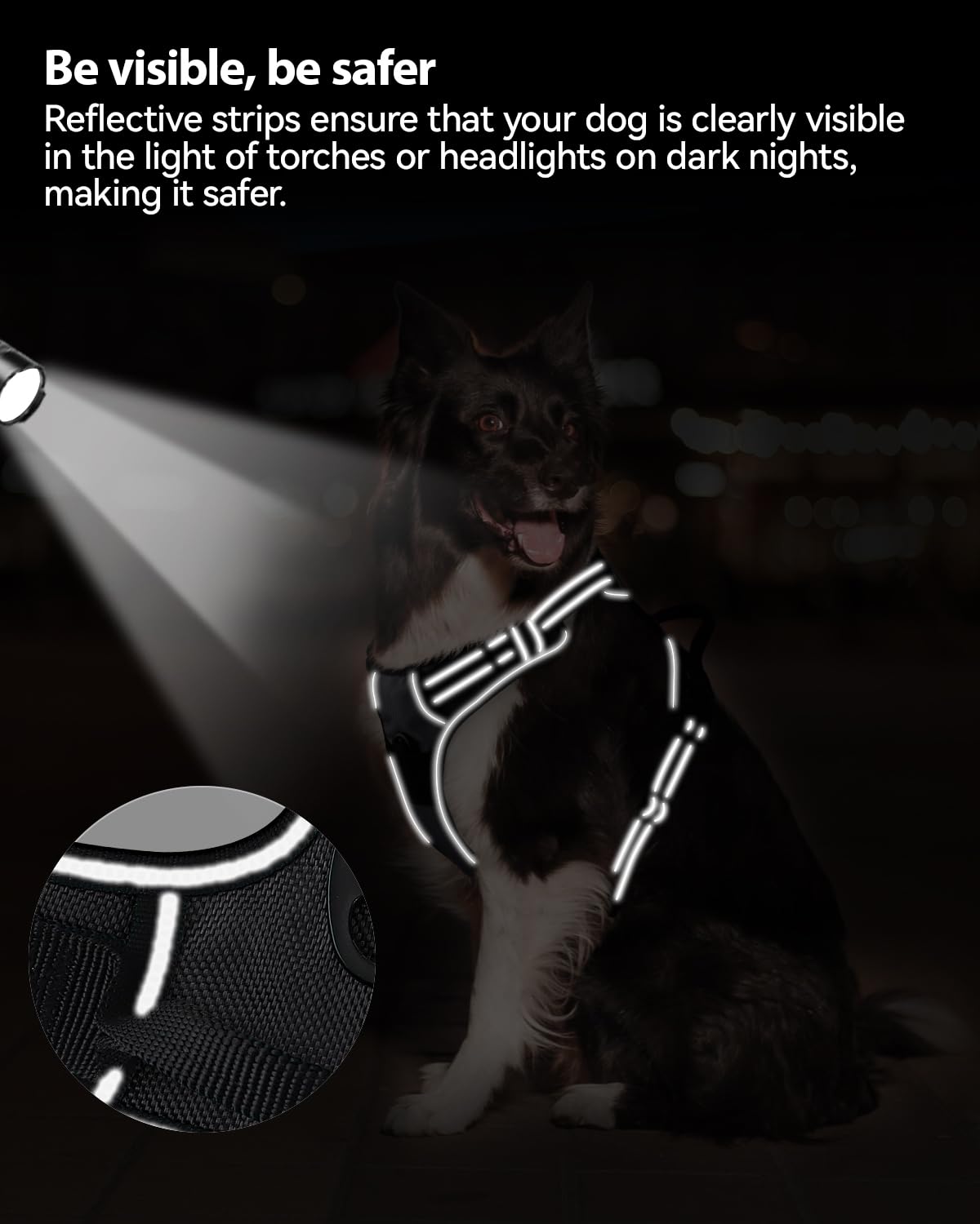 Joytale durable nylon harness built for daily outdoor use
