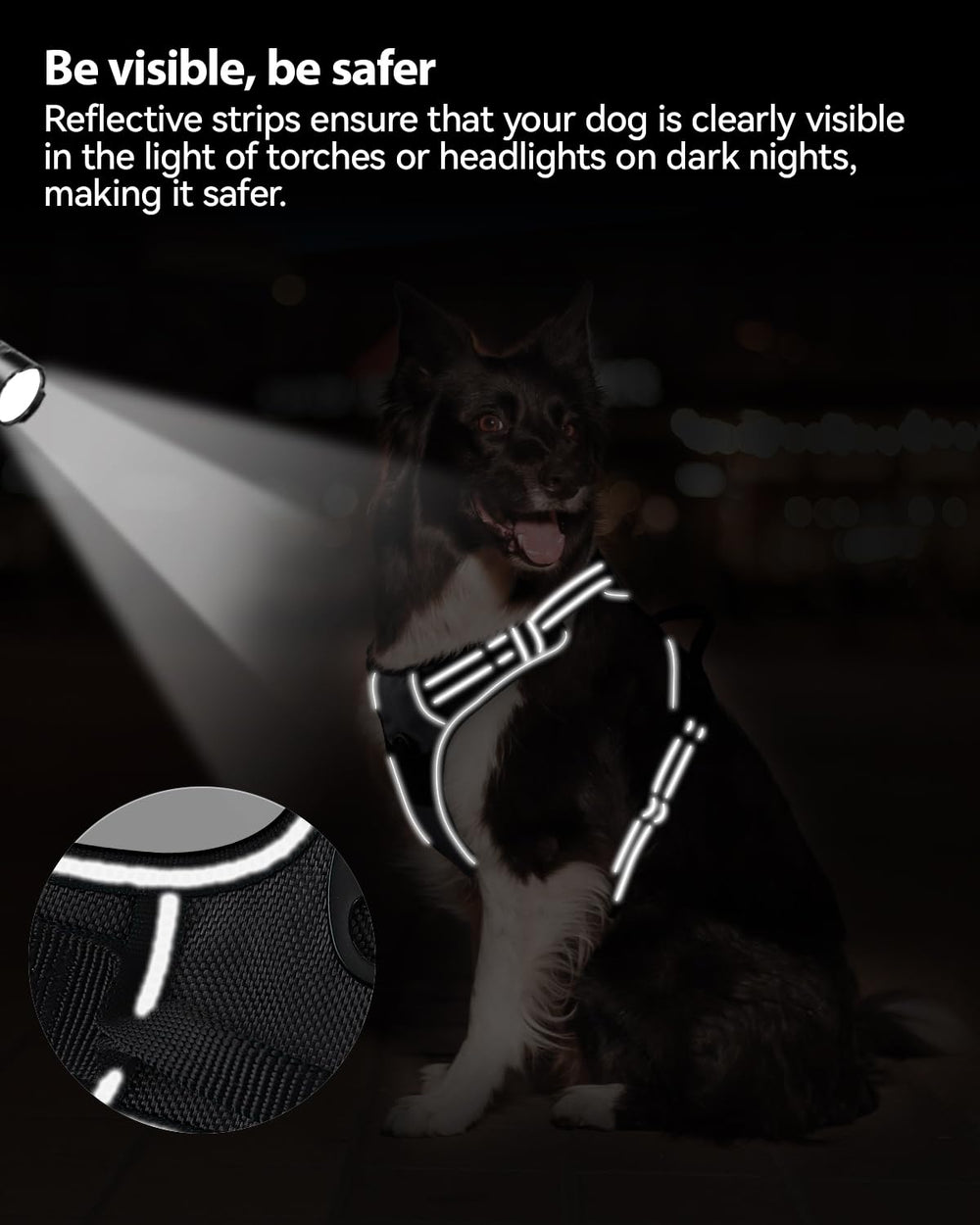 Joytale durable nylon harness built for daily outdoor use