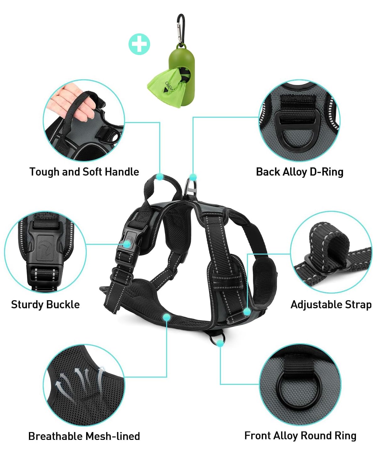 Joytale No Pull Harness worn in crowded sidewalks for confident outings.