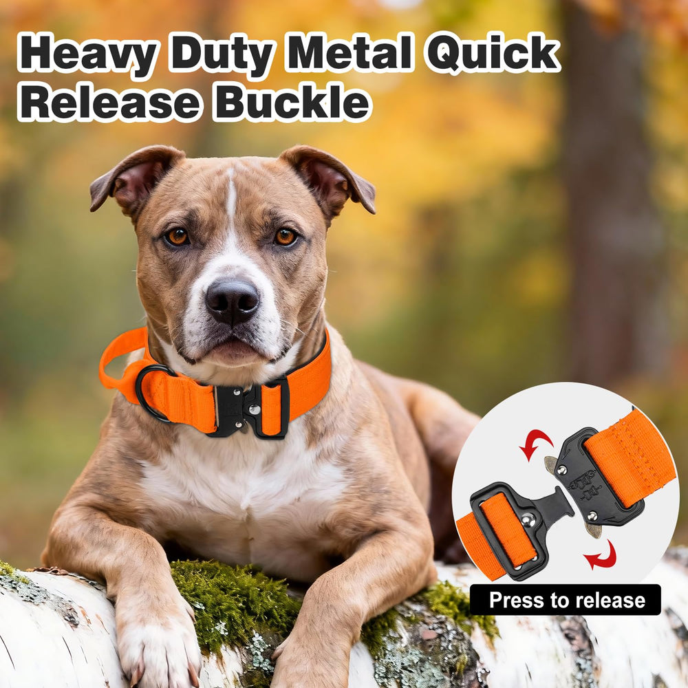 Joytale collar padding provides soft comfort and prevents neck chafing