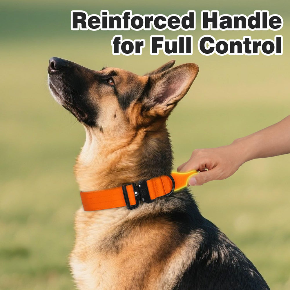 Joytale heavy duty dog collar handle with quick-release buckle promotes safety during training