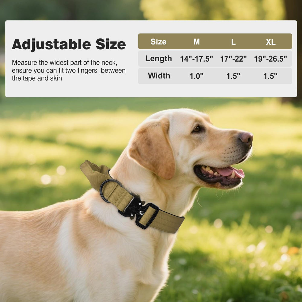 Joytale AirTag holder on the ring helps easy tracking.