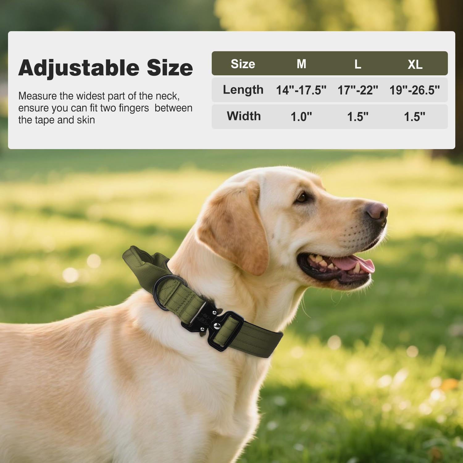 Joytale heavy-duty dog collar adjustable strap suits growing dogs and various neck sizes.