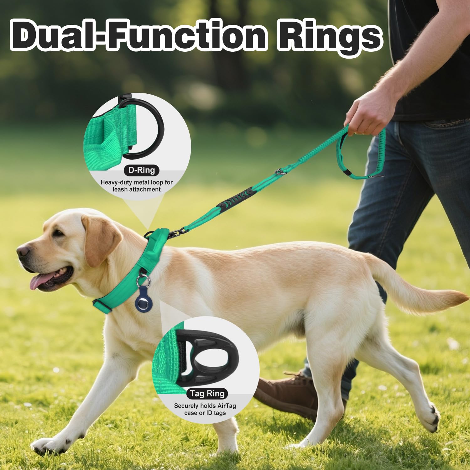 Joytale heavy-duty dog collar quick-release buckle enabling rapid restraint in emergencies.
