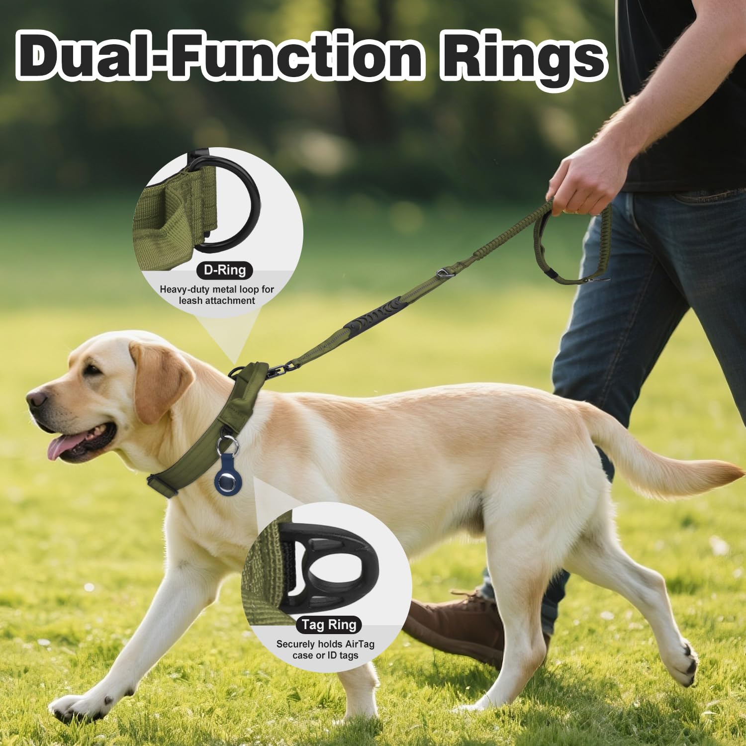 Joytale heavy-duty dog collar quick-release buckle close-up highlighting safety release.