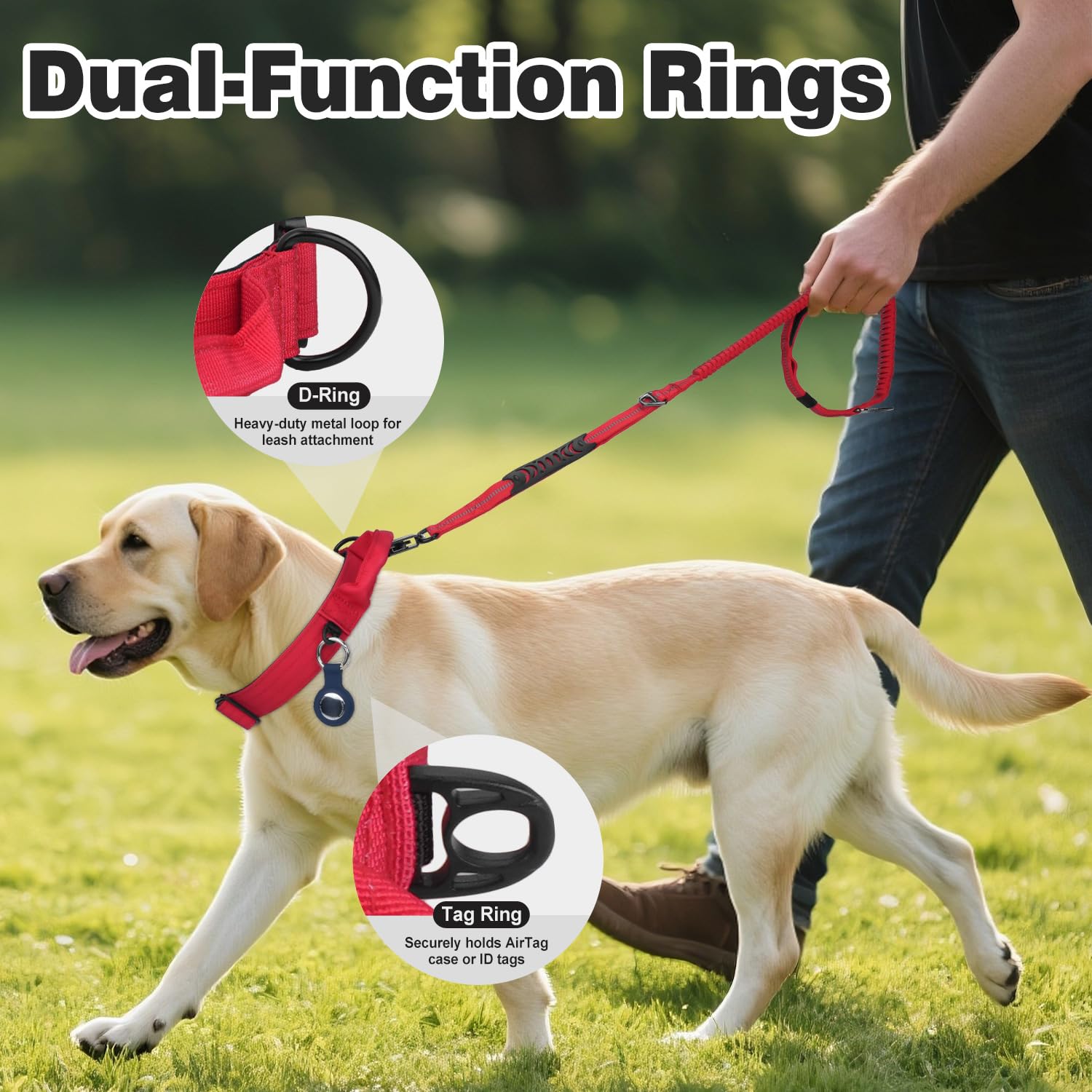 Joytale large-dog collar quick-release buckle enables fast safety adjustments