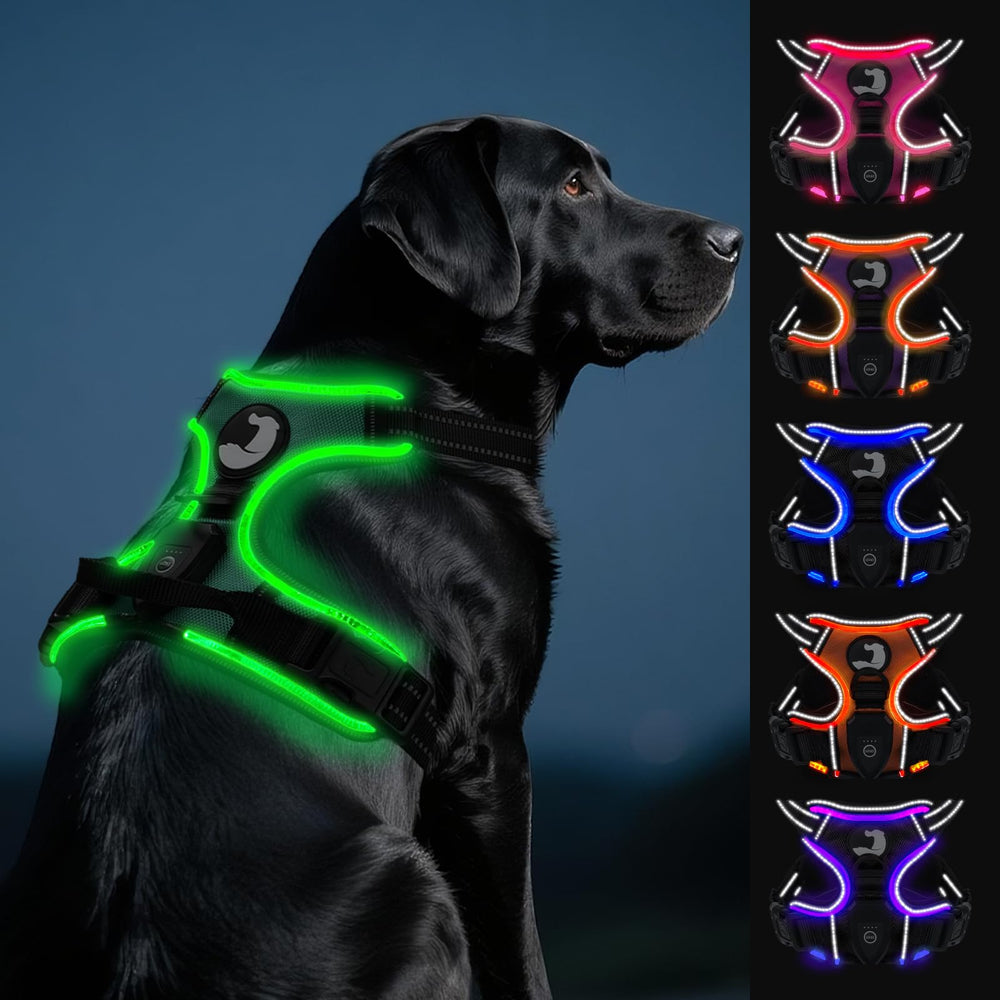 Joytale light up dog harness back LED lights for night visibility