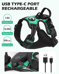 Joytale harness with soft mesh lining for comfortable wear