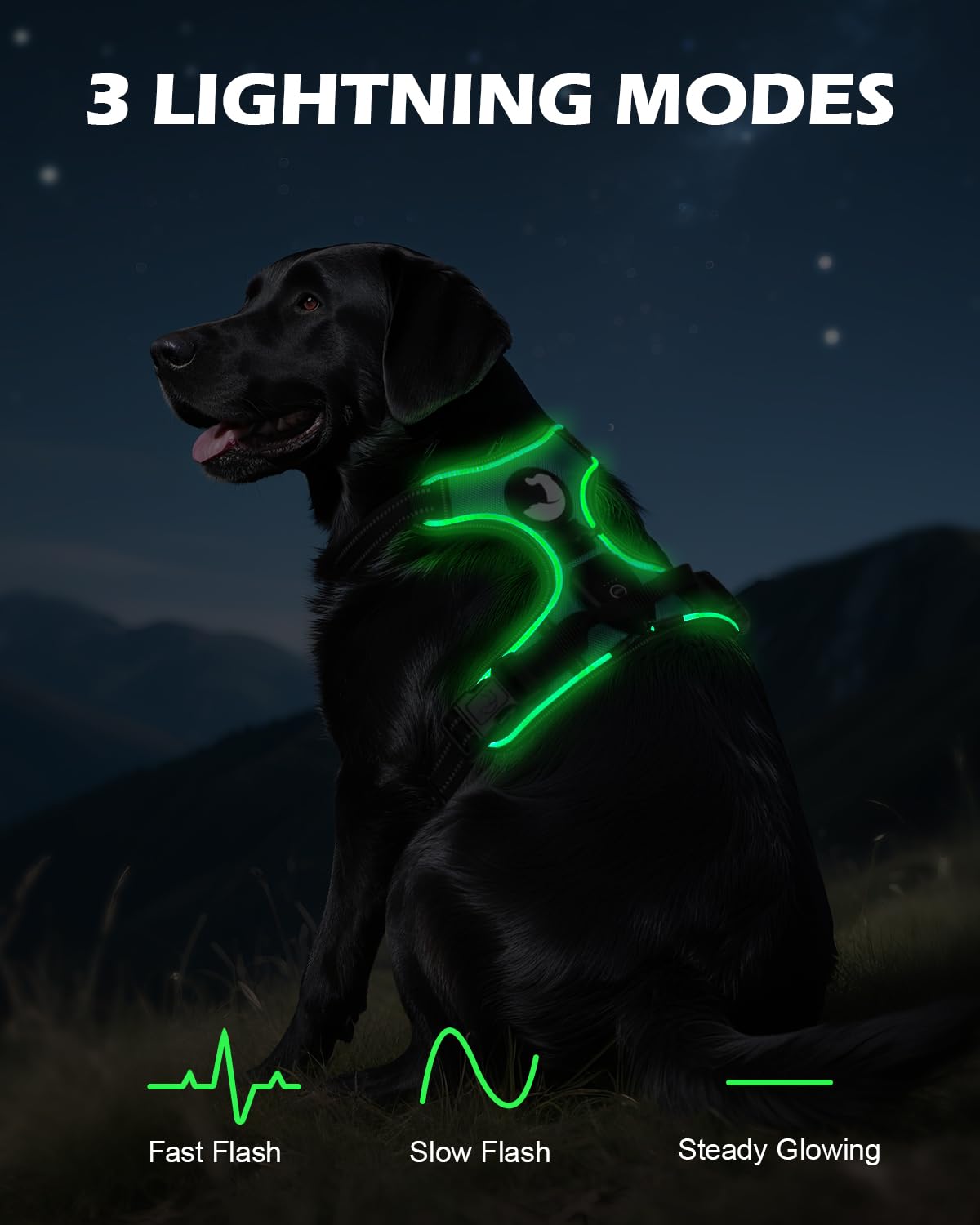 Joytale harness front reflective strips for safety day and night