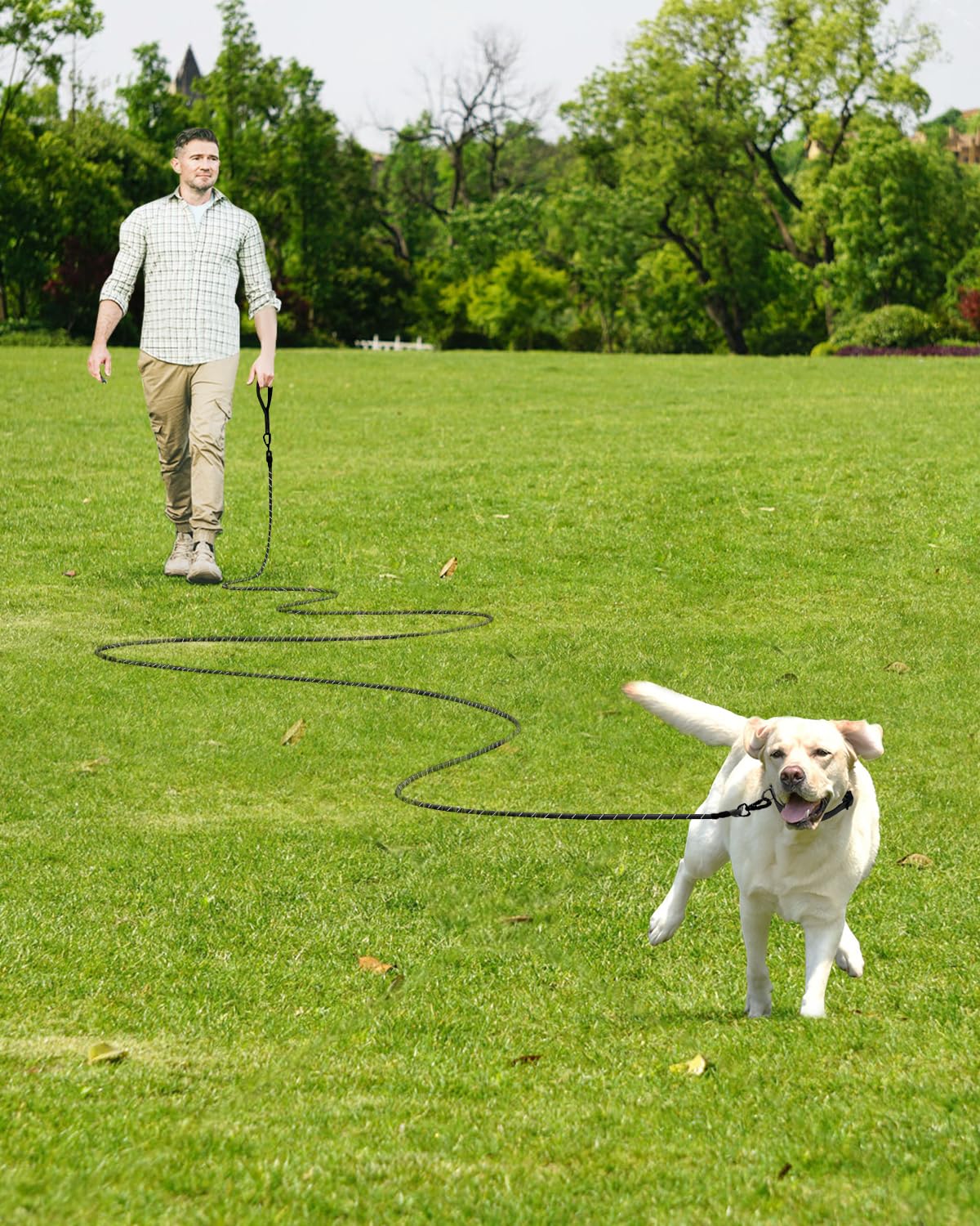 Joytale long leash length options up to 30ft for more freedom.