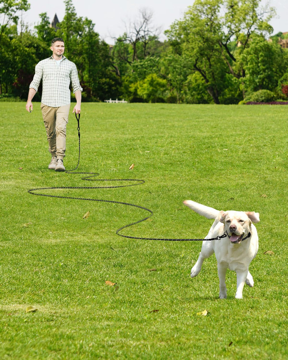 Joytale long leash length options up to 30ft for more freedom.