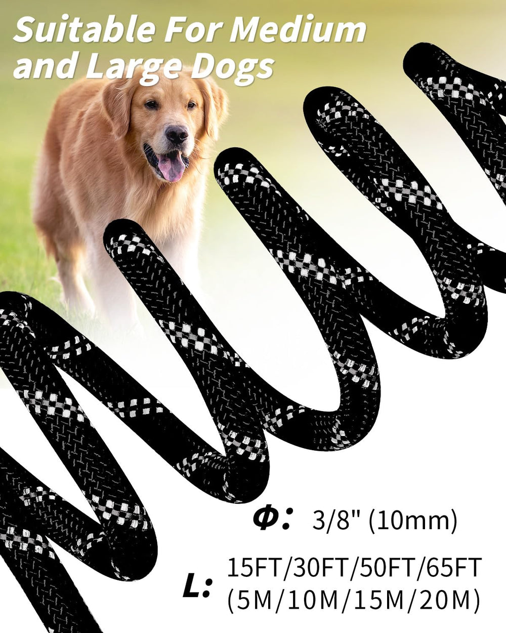 Joytale long leash ideal for walks, hikes, camping, and backyard tie-outs.
