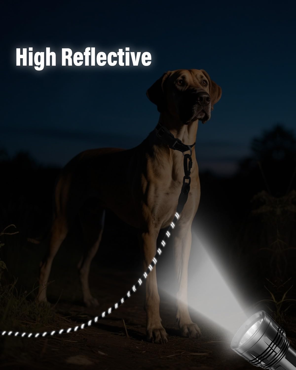 Joytale long leash reflective thread improves nighttime visibility for safer walks.