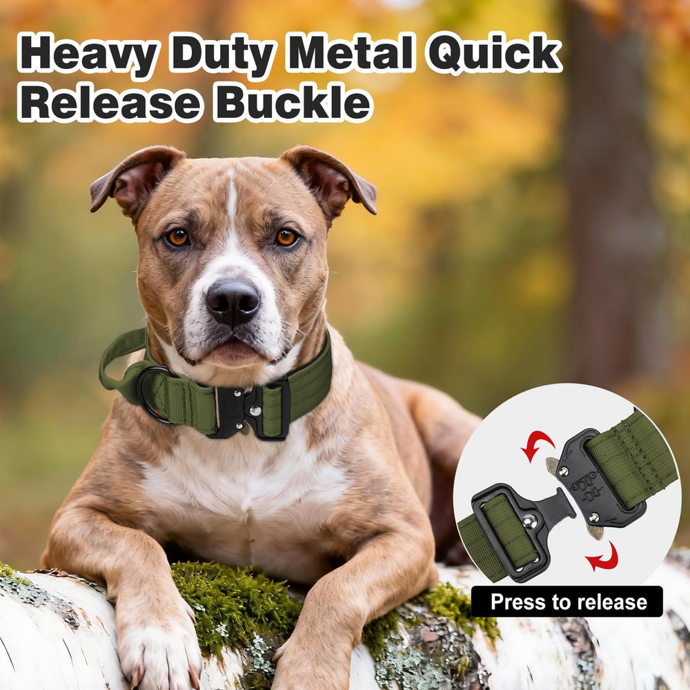 Joytale collar with neoprene lining reduces neck rubbing on long walks.