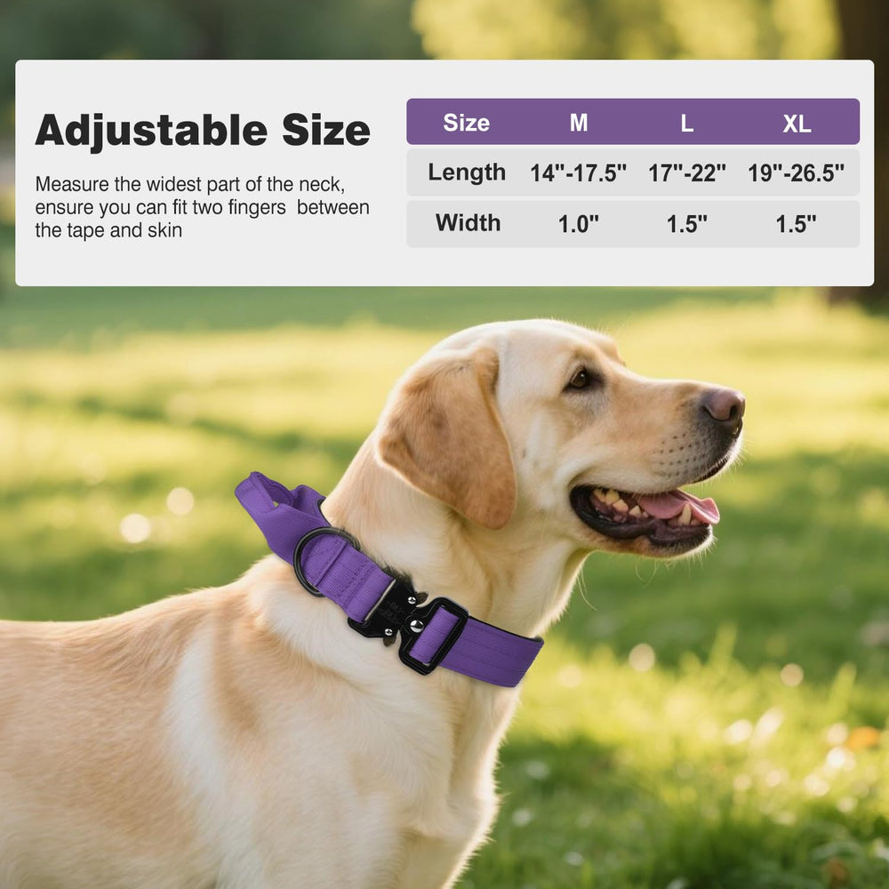 Joytale purple medium collar adds color and a comfortable fit for medium dogs.