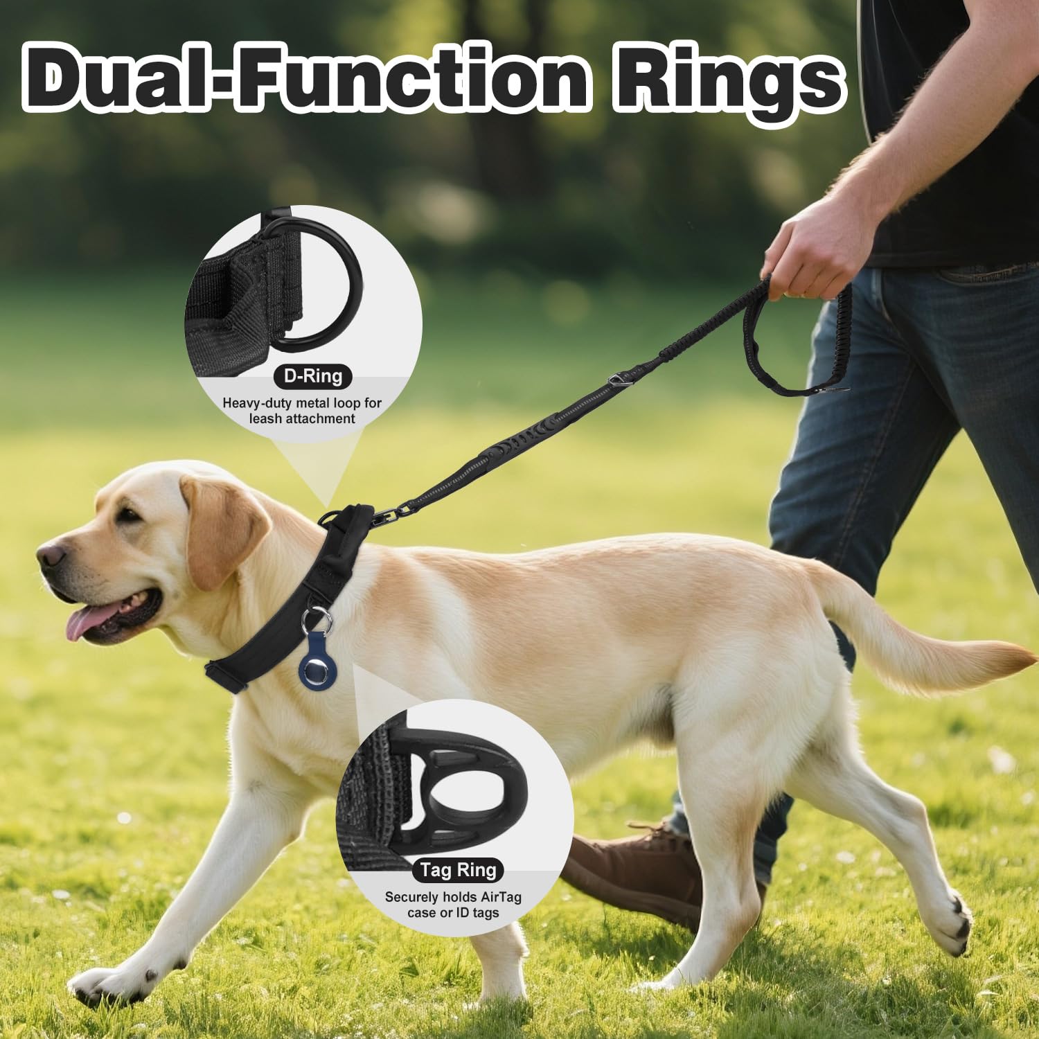 Joytale quick-release buckle collar—safer, faster securing during outdoor activities.