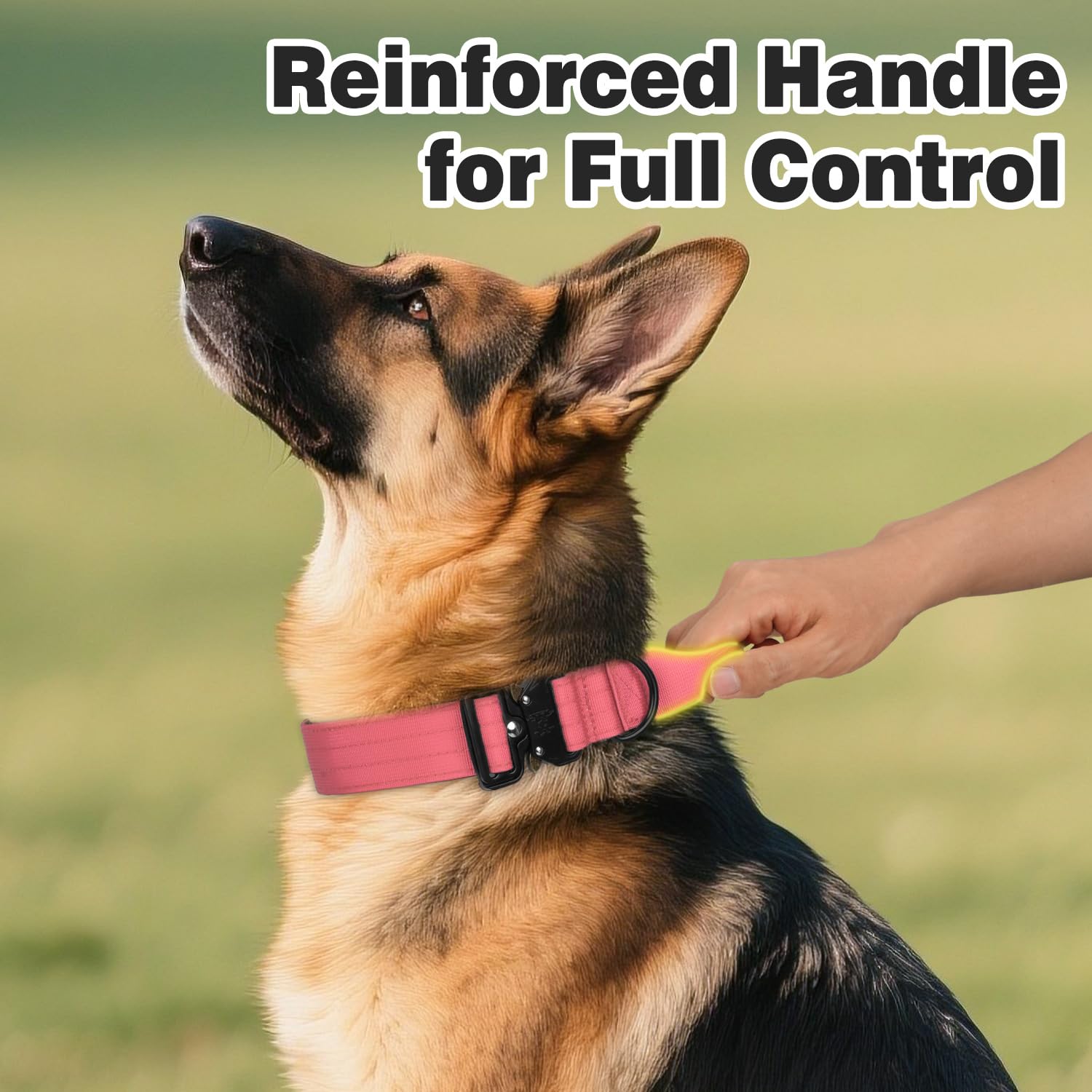 Joytale quick-release buckle collar demonstrating easy safety release during tense moments.