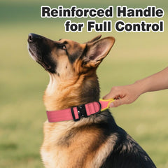 Joytale quick-release buckle collar demonstrating easy safety release during tense moments.