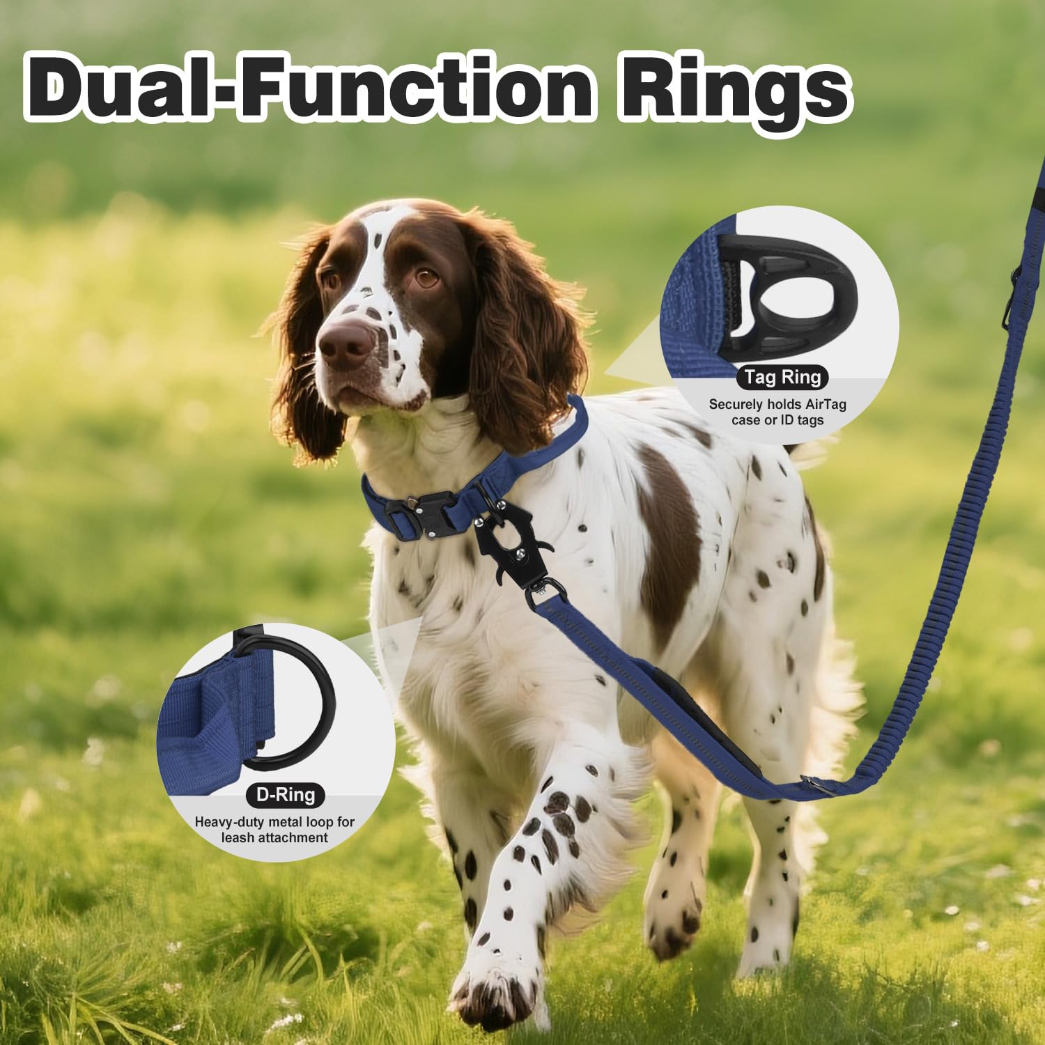 Joytale quick-release buckle metal highlights safety during sudden pulls and play.