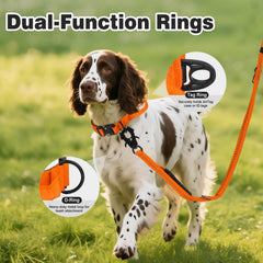 Joytale zinc alloy quick-release buckle provides safe, fast releases.