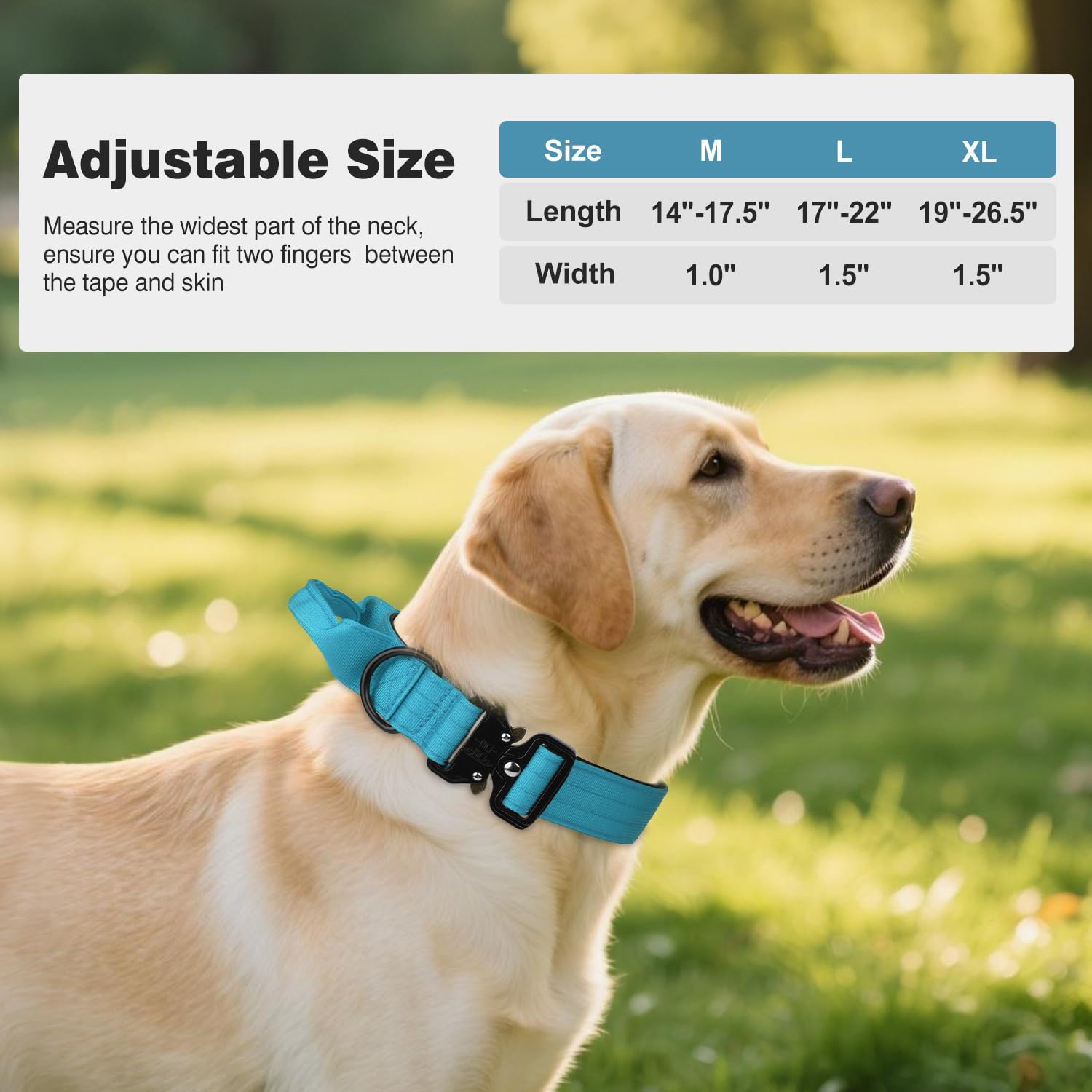 Joytale service dog collar with handle closeup emphasizing quick control in tasks
