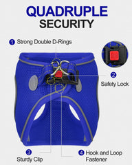Joytale harness front D-ring for ID tag or light during night walks.