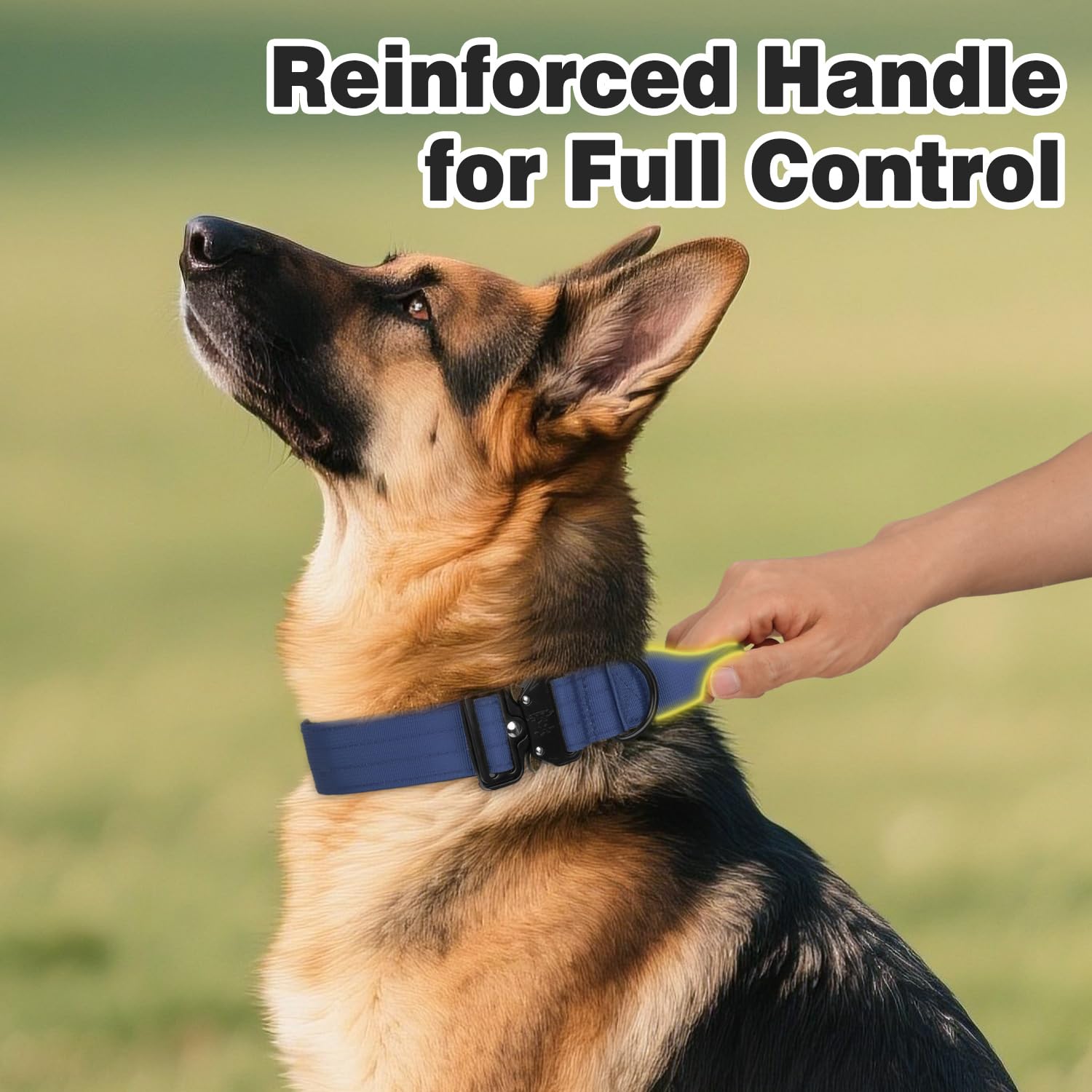 Joytale tactical collar with dual-layer nylon demonstrates durability for large breeds outdoors.