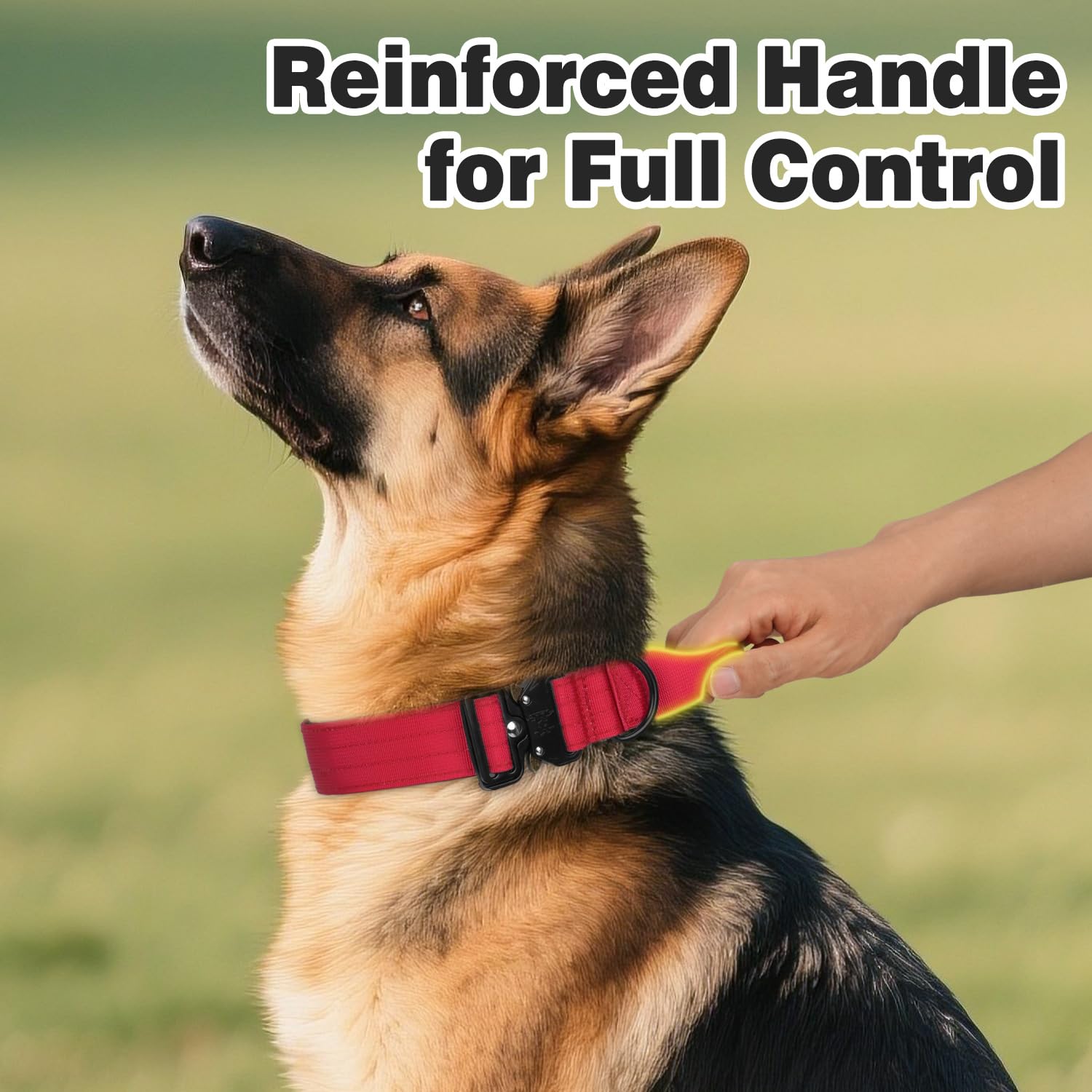 Joytale tactical dog collar with adjustable strap for growing dogs.