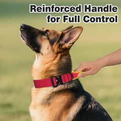 Joytale tactical dog collar with adjustable strap for growing dogs.