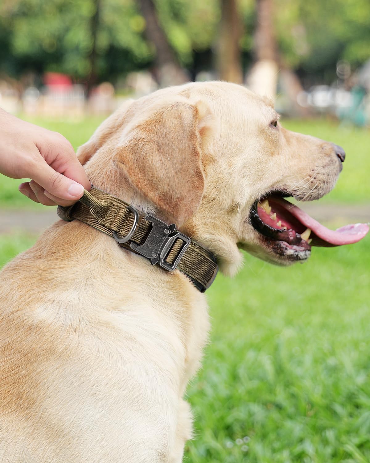 Joytale tactical dog collar in use during training and hikes.