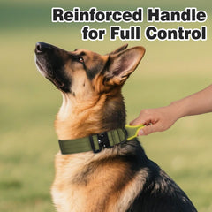 Joytale tactical collar with quick-release buckle enables safe release on walks.