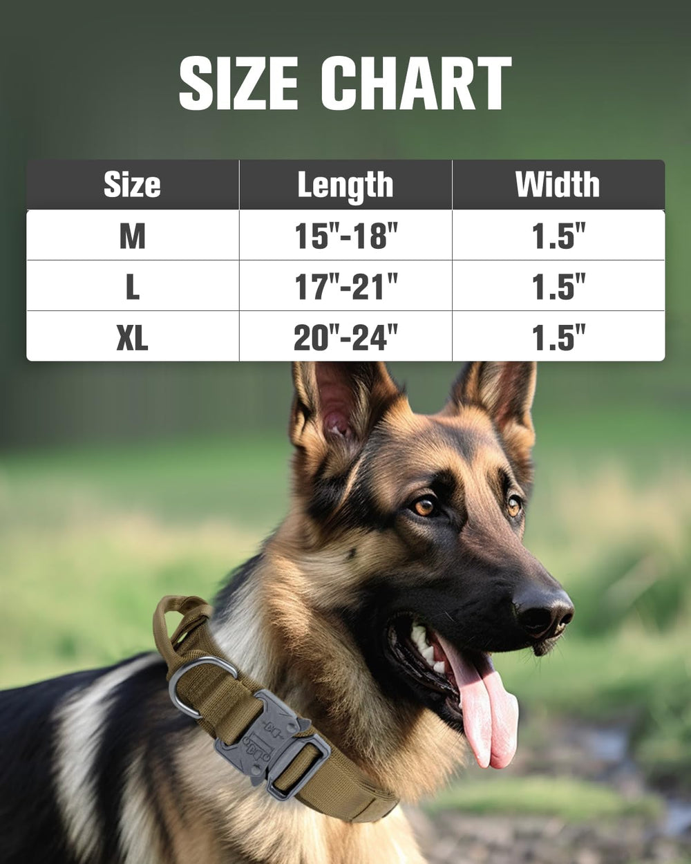 Joytale tactical dog collar two patches included for personalization.