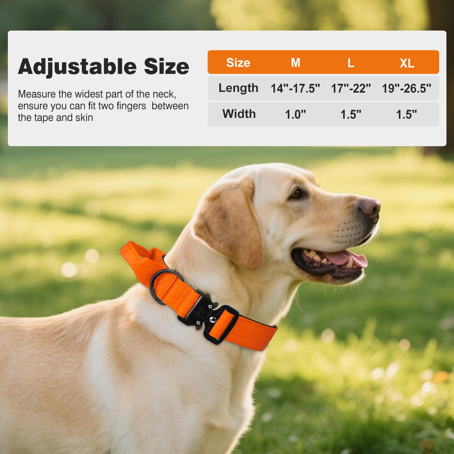 Joytale XL dog collar on large dog hiking scene closeup highlighting control.