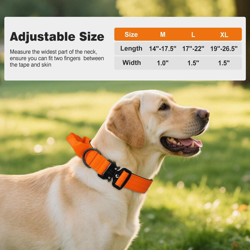 Joytale XL dog collar on large dog hiking scene closeup highlighting control.