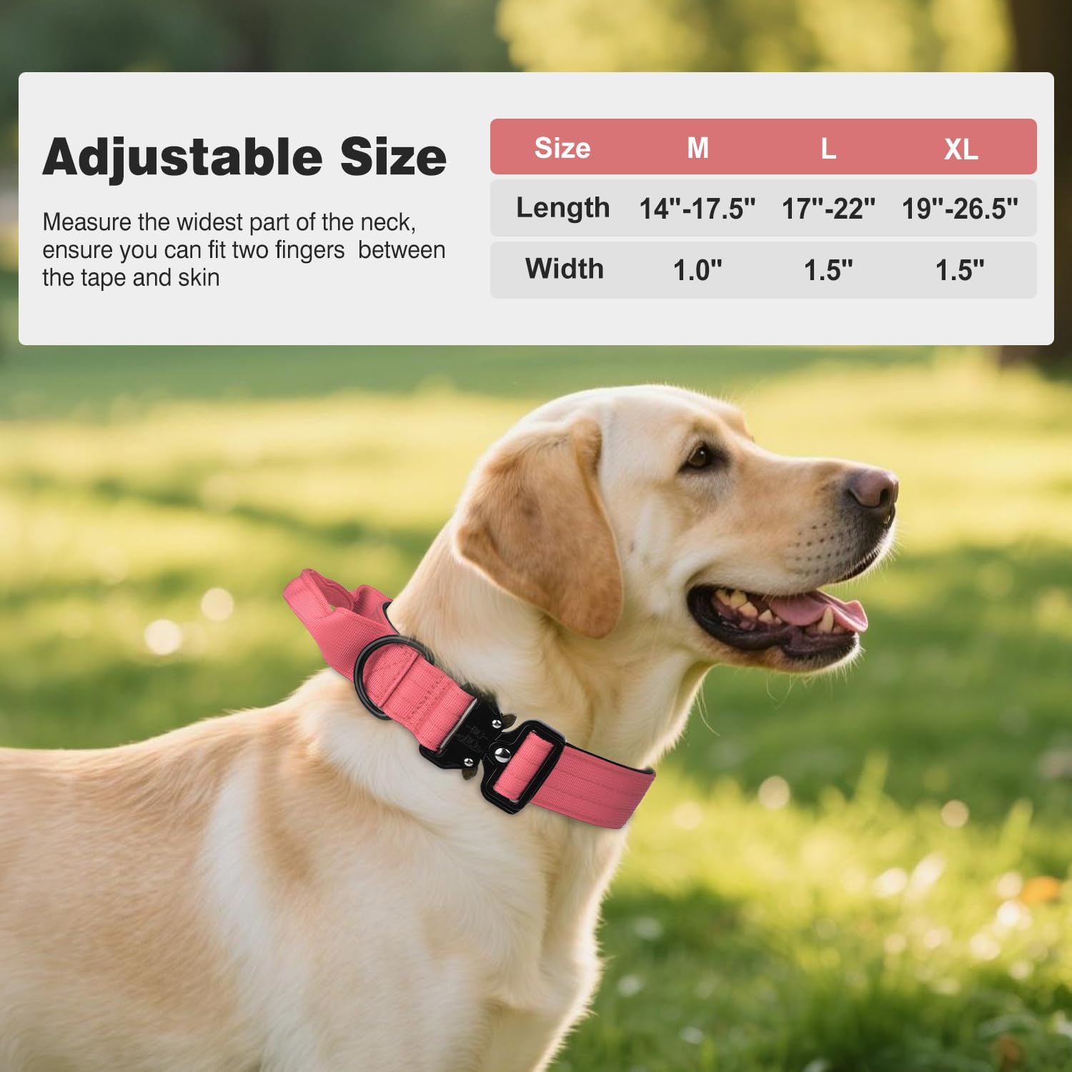 Joytale XL pink dog collar worn during a hike for rugged outdoor use