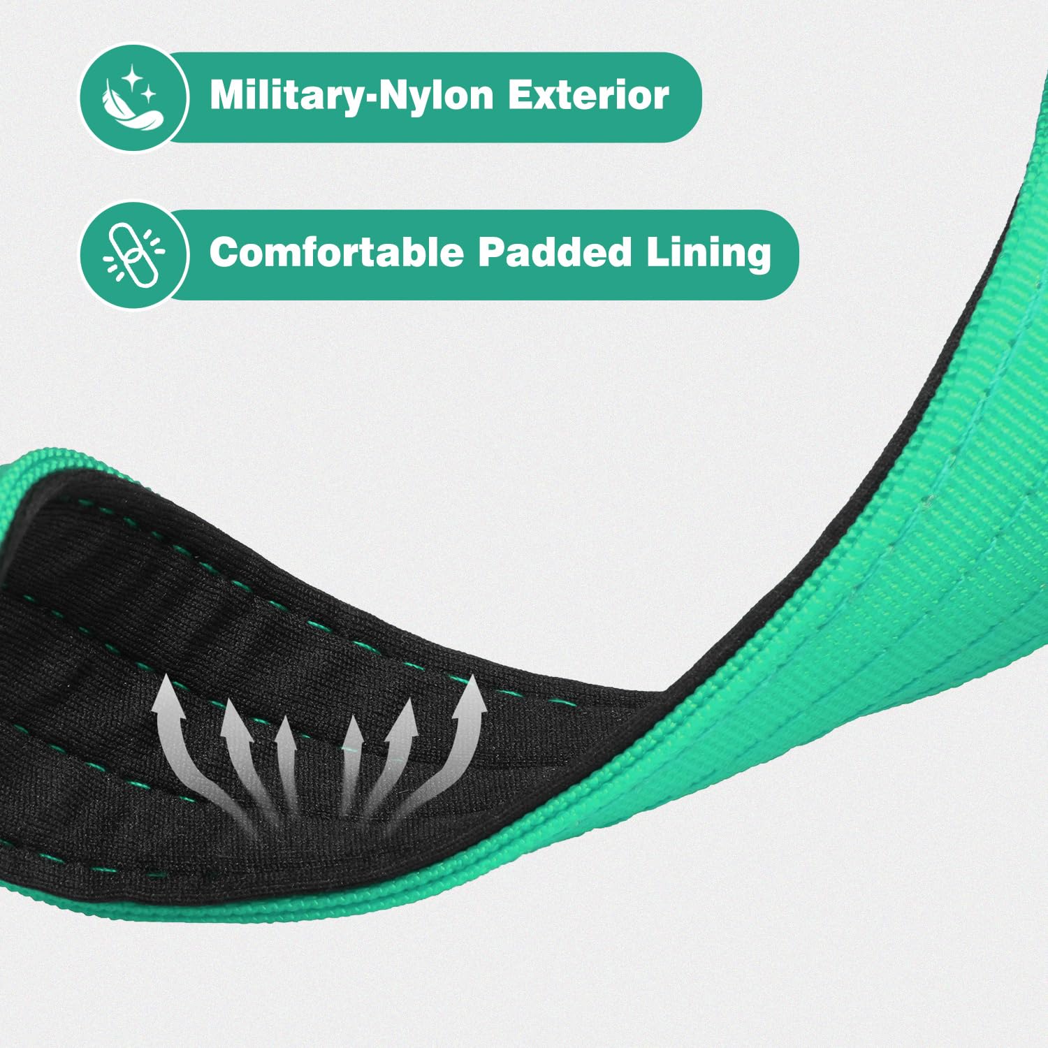 Joytale XL teal collar on large dog showcases adjustable strap and secure fit.