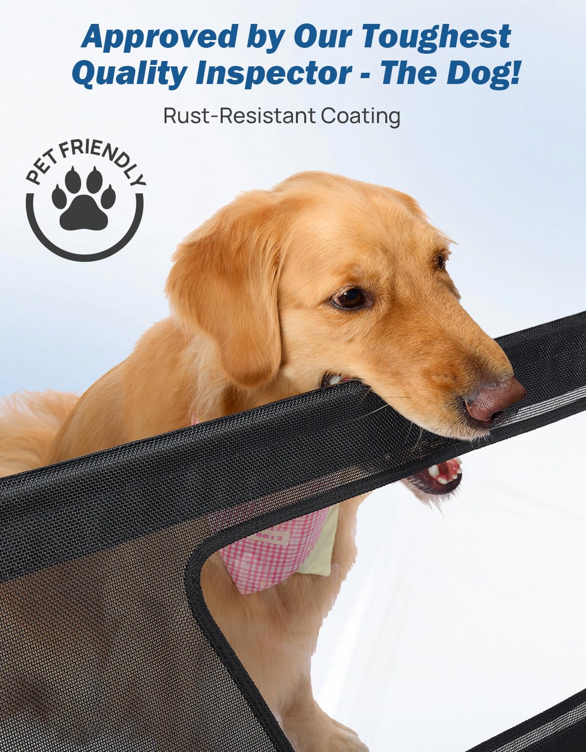 JOYTUTUS removable visual window allows pet checks without distraction