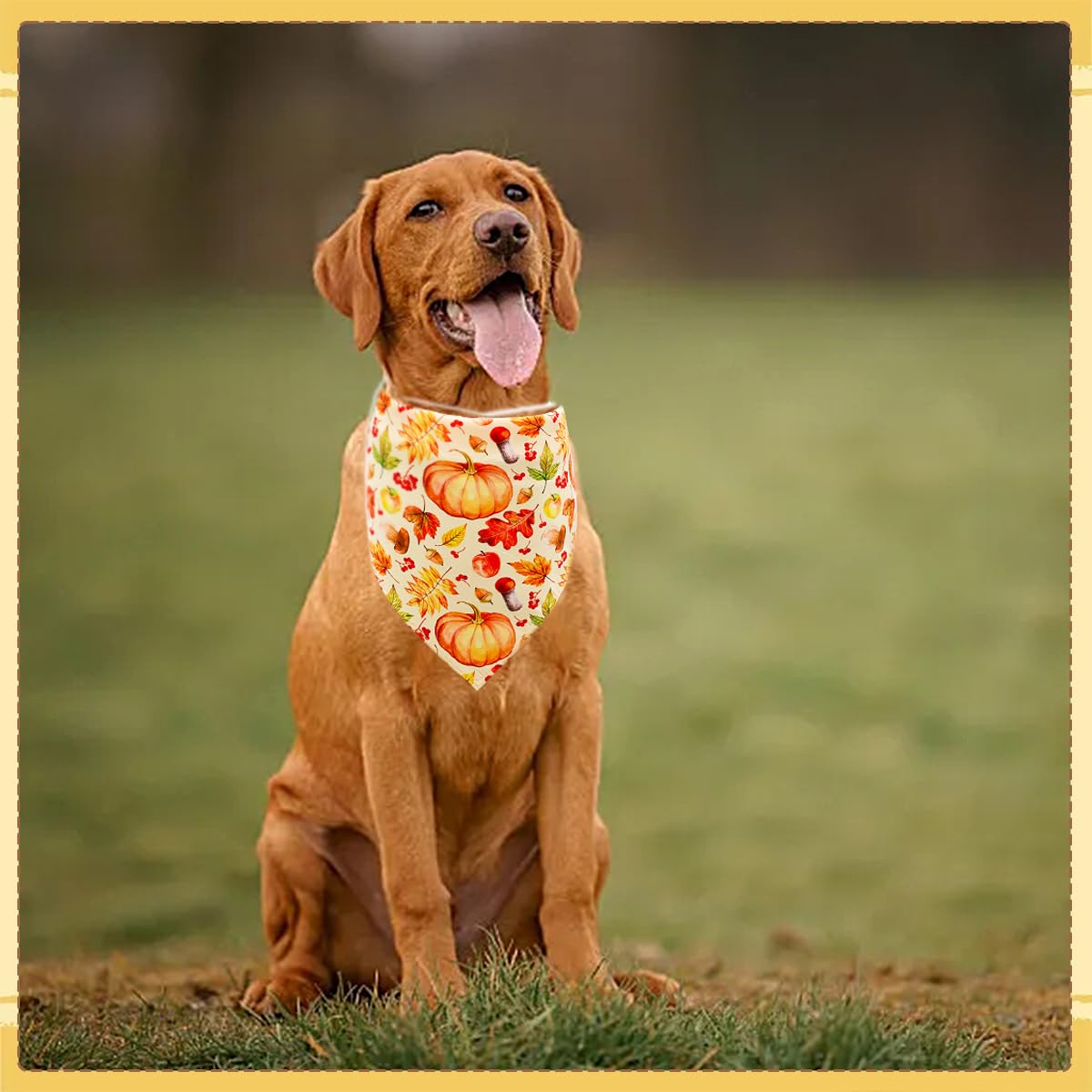 JpGdn dog bandana photo prop for parties and stylish grooming sessions