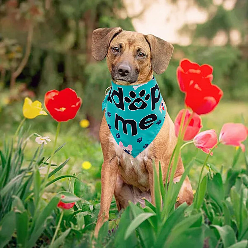JpGdn bandana adoption-shelter-use may help attract visibility at rescue events and inquiries.