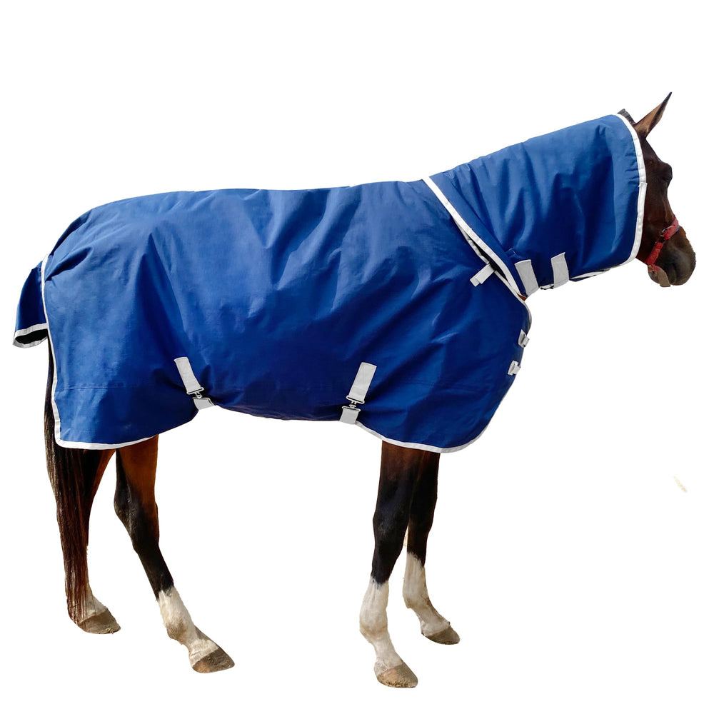 Jranter 72-inch back length framing full coverage for larger horses.