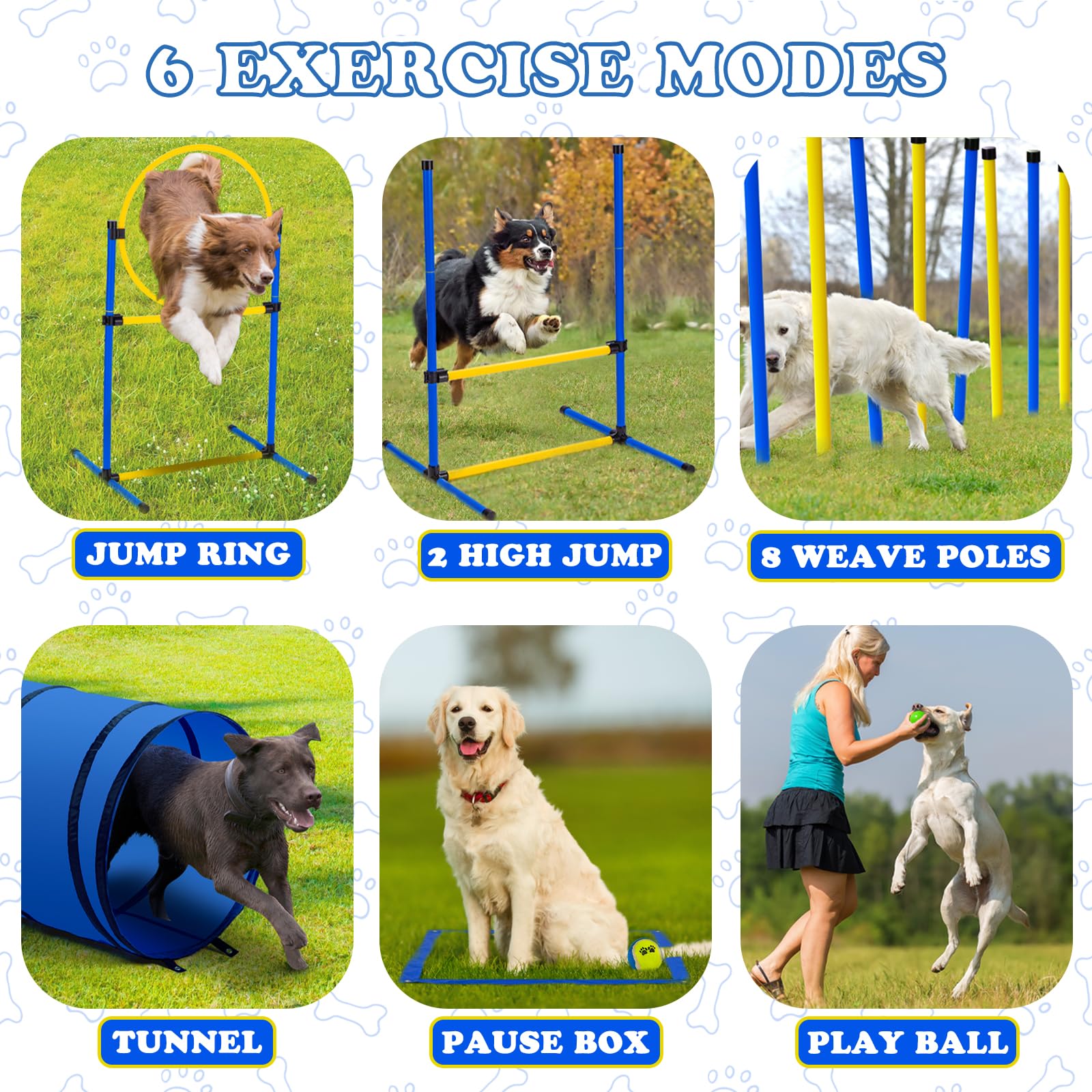 JRUICFDY weave poles for precision turns and quick training in small spaces.