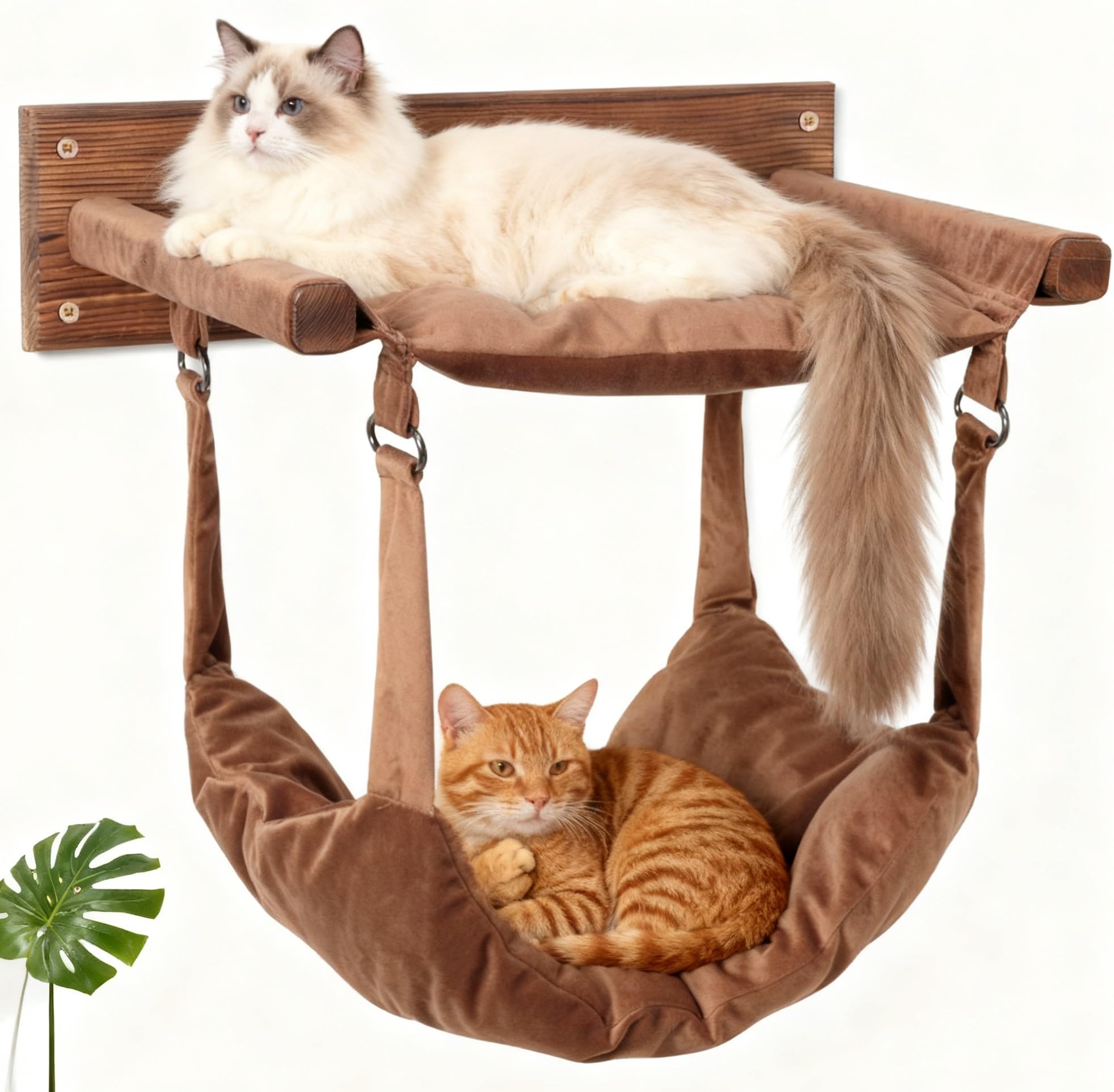 JSPYFITS wooden cat wall hammock front view shows sturdy pine wood and spacious sleeping area