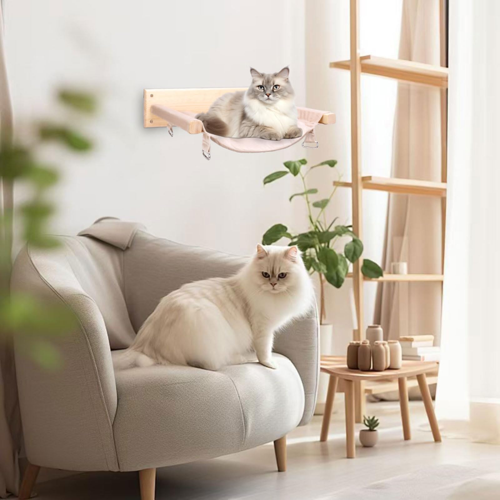 JSPYFITS multi-cat setup image demonstrates shared resting and play space.